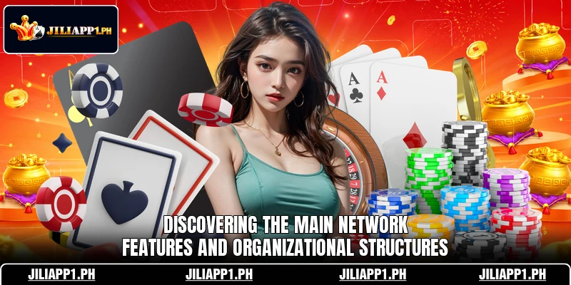 Discovering the main network features and organizational structures Discovering the main network features and organizational structures
