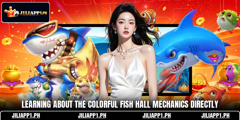 Learning about the colorful fish hall mechanics directly Learning about the colorful fish hall mechanics directly